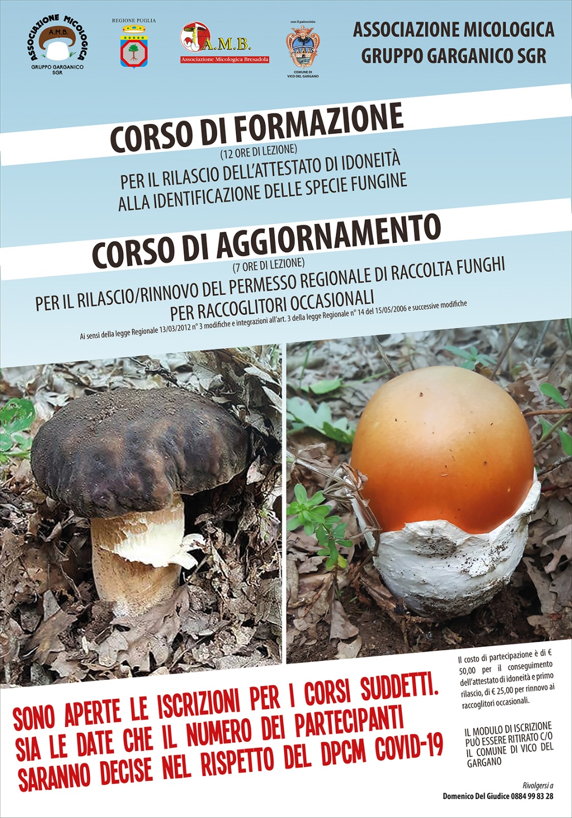 Corsi di aggiornamento rinnovo permesso regionale raccolta funghi